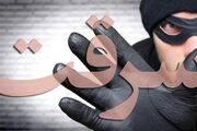 ویدئوی شوکه‌کننده از سرقتی که با «کمک» آغاز شد+ فیلم