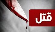 راز یک قتل پس از ۷ سال در آمل فاش شد