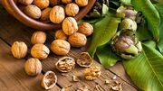 گردو را کجا نگهداریم؟ یخچال یا فریزر؛ کدام بهتر است؟