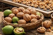 چگونه گردوی تازه را بدون کپک خشک کنیم؟