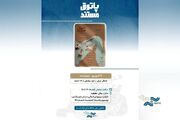 «اشغال جزایر» به «پاتوق مستند» رسید