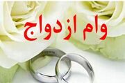 نیمی از تسهیلات ازدواج در کل شبکه بانکی، از سوی بانک ملی تأمین شد