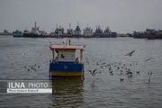 خسارت ۳۵۰۰ میلیارد تومانی به صیادان هرمزگان در جریان جنگ