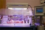 تعطیلی موقت NICU بیمارستان میبد پس از فوت چهار نوزاد