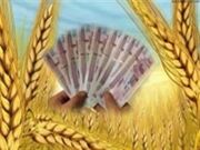 تأخیر در پرداخت مطالبات گندمکاران مشمول وجه التزام شود