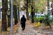 چرا پاییز دل تنگمان می کند؟