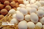کدام باورهای قدیمی درباره تخم‌مرغ هنوز درست‌اند؟