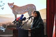 پروژه حفاظت از یوز را با قوت دنبال می‌کنیم