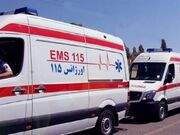 واژگونی پژو ۴۰۵ در ابرکوه یزد یک فوتی و ۸ مصدوم برجای گذاشت