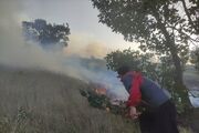کاهش ۸۵ درصدی سطح مناطق درگیر حریق در کردستان