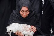 فیلم| بررسی ابعاد حقوقی حمله به مدرسه میناب در نشستی تخصصی