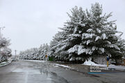 نیمه شمالی کشور سفیدپوش می‌شود / شدت گرفتن بارندگی‌ها در ۷ استان