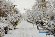 ورود سامانه بارشی جدید به کشور / ذوب برف و سقوط بهمن در پی افزایش دمای هوا
