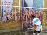 اختصاص ۴۳ پایگاه برای جمع‌آوری نذورات عید قربان در استان ایلام
