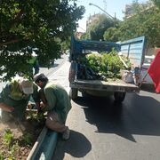 ۲ هزار مترمربع باغچه گل فصلی در منطقه ۶ اصفهان کاشته شد