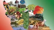 اصفهان در مسیر تقویت امنیت غذایی حرکت می‌کند