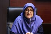مهاجرانی: دولت به دنبال کاهش فشار ناترازی انرژی بر واحدهای تولیدی است