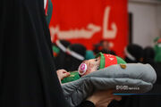 فیلم| شیرخوارگان شیرازی در سوگ علی‌اصغر(ع)
