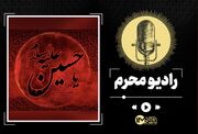 قاری سرشناس کوفه؛ شهید راه کربلا