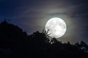 امشب ماه کامل گوزن نر را رصد کنید