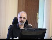 هشدار شورای شهر کرج نسبت به نابودی چنارهای کهنسال