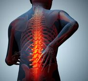 لزوم اصلاح سبک زندگی برای سلامت ستون فقرات