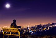 وقتی شهر نمی‌خوابد؛ چگونه زندگی شهری پس از غروب ادامه پیدا می‌کند؟