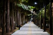 سیر تا پیاز باغ‌راه زائر در کرمان