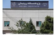 برگزاری هفدهمین مدرسه تابستانی رویان