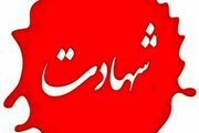 اعلام اسامی شهدای خوزستانی حمله دشمن آمریکایی