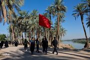 آغاز برنامه رسمی اربعین حسینی از امروز