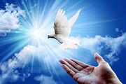 ۱۰۴ چراغ امید در خانه‌ البرزی‌ها روشن شد