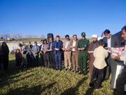 برگزاری اردوی کتابخوانی عشایر کهگیلویه و بویراحمد در منطقه ایل نشین سقاوه شهرستان مارگون