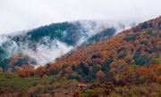 باران تا ۳ روز آینده میهمان گیلانی‌ها است