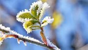 دمای هوا در زنجان افزایش می‌یابد