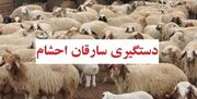 دستگیری سارقان احشام در بوانات