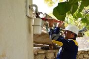 گازرسانی به بیش از ۲ هزار و ۵۰۰ روستا در خوزستان
