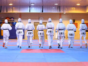 پایان کار تیم ملی تکواندو با هفت مدال طلا، نقره و برنز