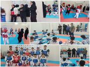 برگزاری اردوی تمرینی تیم‌های نونهال دختر و پسر استان کردستان