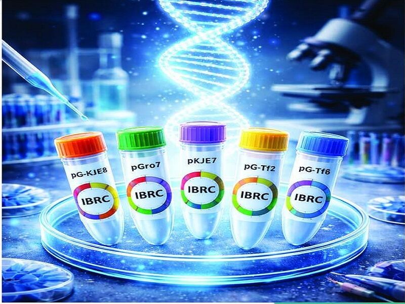 گامی مهم در تولید پروتئین‌های نوترکیب به همت محققان جهاددانشگاهی