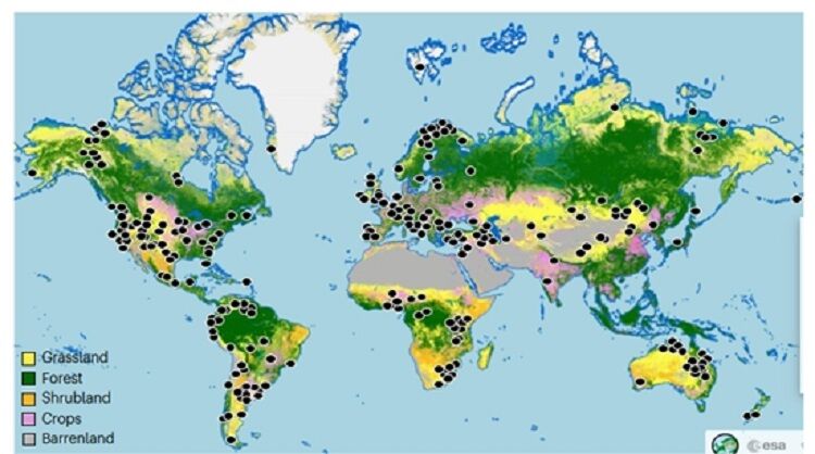 بازنگری علفزارهای جهان و نقش آن‌ها در ذخیره‌سازی کربن توسط پژوهشگر ایرانی