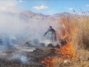 مقابله جدی با برگ‌سوزی و پسماندسوزی در دماوند