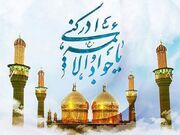 شهرستان ری بمناسبت سالروز میلاد امام جواد (ع) در شور و سرور