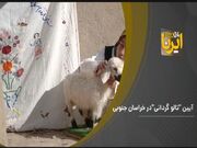 آیین «تالوگردانی» در خراسان جنوبی