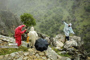 گردشگران ترکیه در جستجوی گنج گلستان