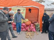 اجرای طرح نظارتی ماه رمضان و نوروز در همدان و تشکیل ۲۴۰ پرونده تخلف