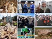 خراسان‌شمالی در ۱۴۰۳؛ از بازگشت یوزها تا سفر دولت وفاق ملی