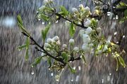 کاهش محسوس دمای همدان/سرعت باد به ۸۰ کیلومتر بر ساعت رسید