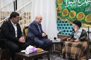 دیدار رئیس مجلس شورای اسلامی با آیت الله شبیری زنجانی