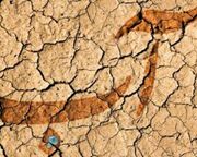 مدیرعامل آب منطقه‌ای استان: راهکاری جز اجرای سند سازگاری با کم‌آبی در یزد نداریم